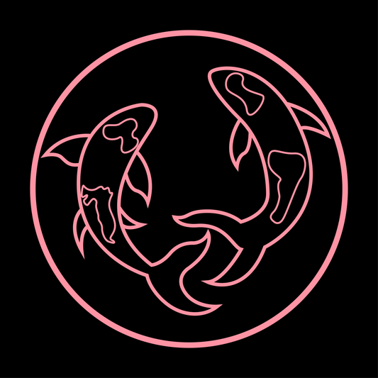 Koi Fish Meaning